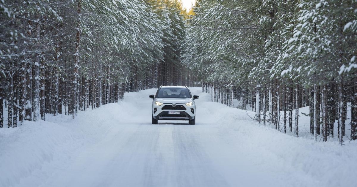 Schnell-im-Schnee-Mit-Hunden-und-Toyota-RAV4-GR-Sport-in-Schweden